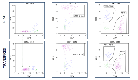 TransFix maintains key B-ALL antigen expression