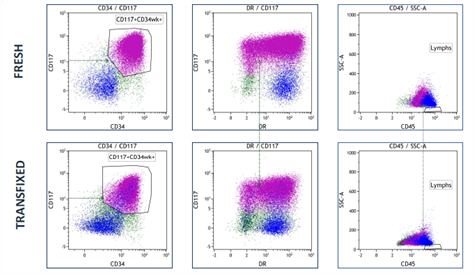 TransFix maintains key myeloid antigen expression