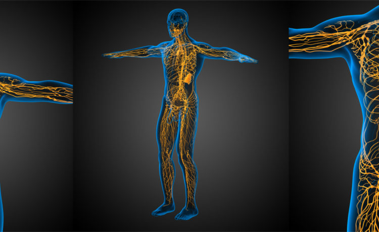 Lymph node stabilisation